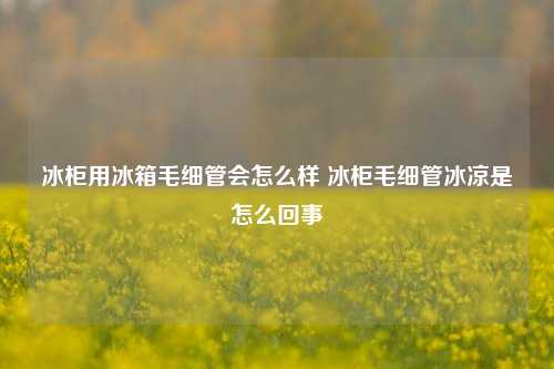 冰柜用冰箱毛细管会怎么样 冰柜毛细管冰凉是怎么回事