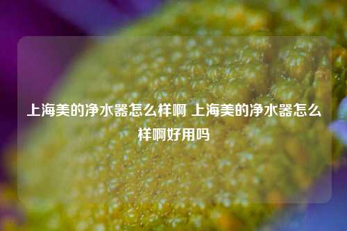 上海美的净水器怎么样啊 上海美的净水器怎么样啊好用吗