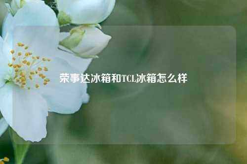 荣事达冰箱和TCL冰箱怎么样