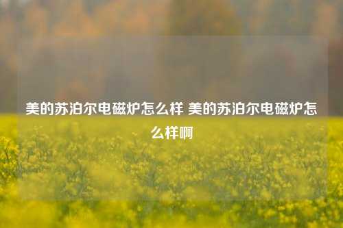 美的苏泊尔电磁炉怎么样 美的苏泊尔电磁炉怎么样啊