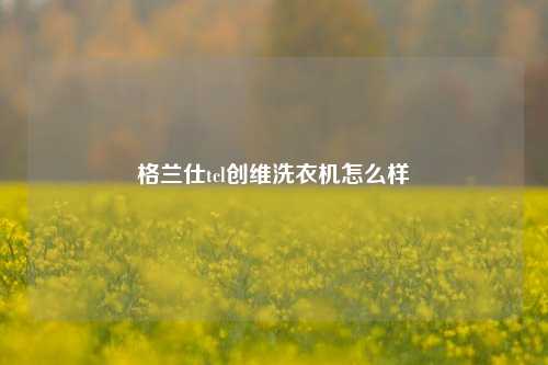 格兰仕tcl创维洗衣机怎么样