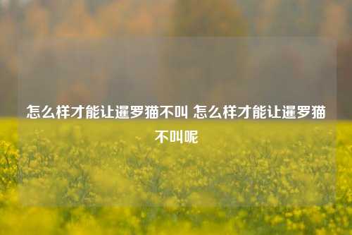 怎么样才能让暹罗猫不叫 怎么样才能让暹罗猫不叫呢