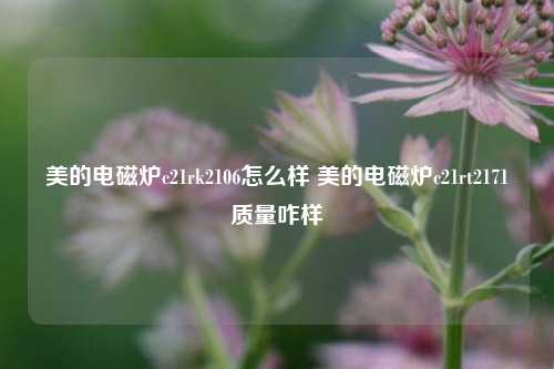 美的电磁炉c21rk2106怎么样 美的电磁炉c21rt2171质量咋样