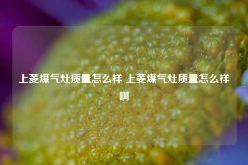 上菱煤气灶质量怎么样 上菱煤气灶质量怎么样啊