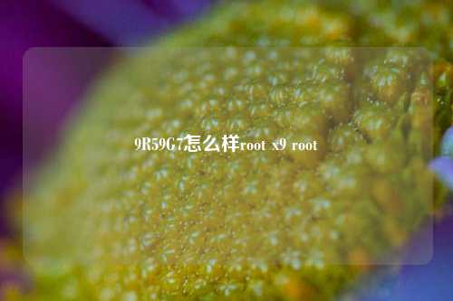 9R59G7怎么样root x9 root