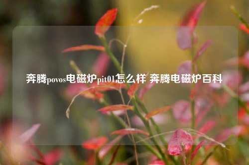 奔腾povos电磁炉pit01怎么样 奔腾电磁炉百科