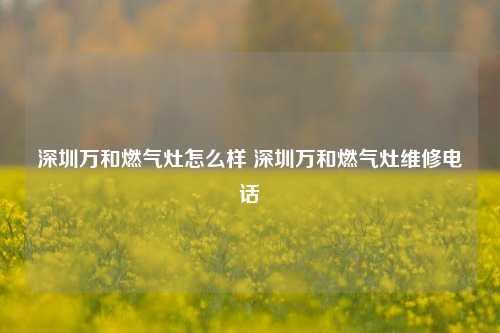 深圳万和燃气灶怎么样 深圳万和燃气灶维修电话