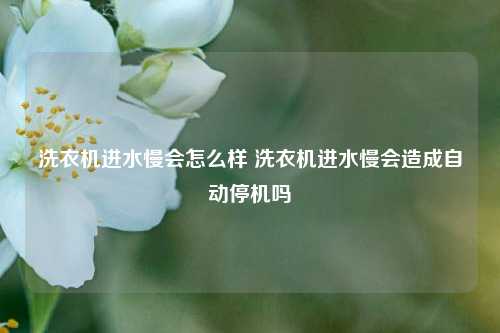 洗衣机进水慢会怎么样 洗衣机进水慢会造成自动停机吗