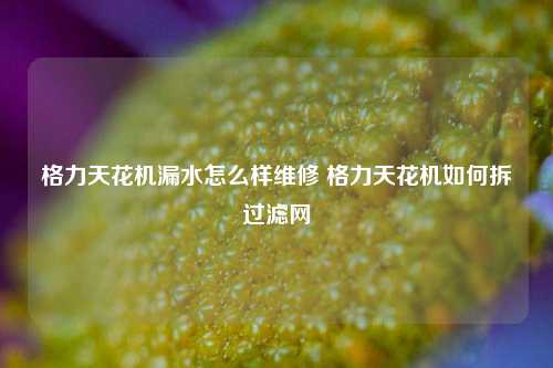 格力天花机漏水怎么样维修 格力天花机如何拆过滤网