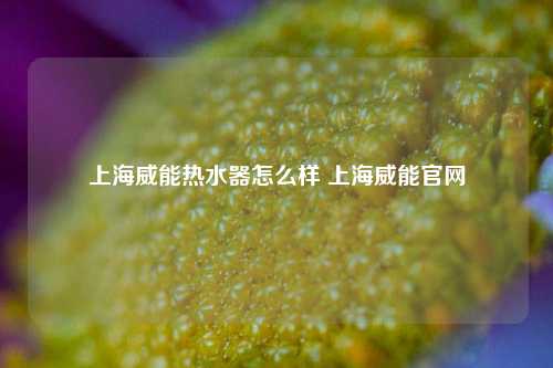 上海威能热水器怎么样 上海威能官网