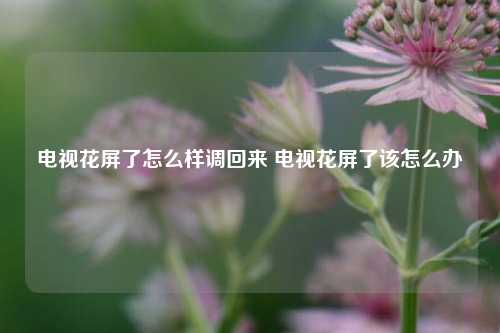 电视花屏了怎么样调回来 电视花屏了该怎么办