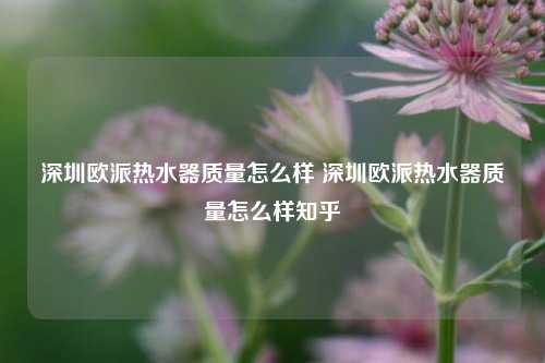 深圳欧派热水器质量怎么样 深圳欧派热水器质量怎么样知乎