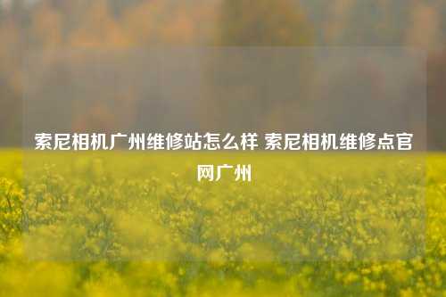 索尼相机广州维修站怎么样 索尼相机维修点官网广州