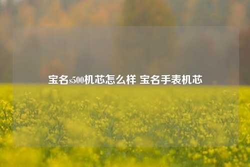 宝名s500机芯怎么样 宝名手表机芯