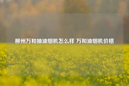 柳州万和抽油烟机怎么样 万和油烟机价格