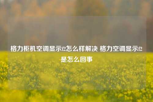 格力柜机空调显示f2怎么样解决 格力空调显示f2是怎么回事