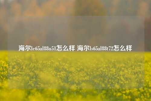 海尔le65al88u51怎么样 海尔ls65al88t72怎么样