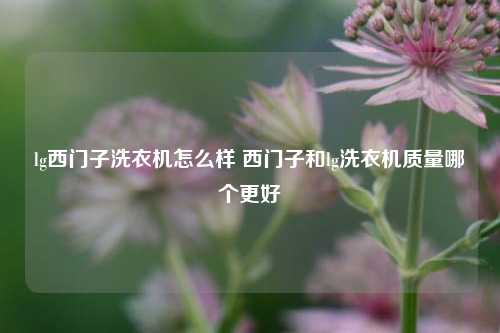 lg西门子洗衣机怎么样 西门子和lg洗衣机质量哪个更好