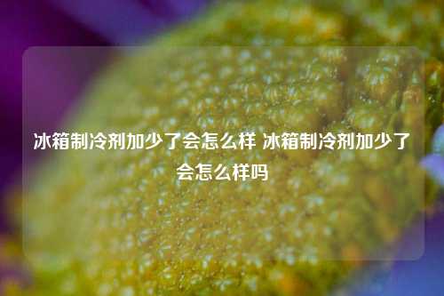 冰箱制冷剂加少了会怎么样 冰箱制冷剂加少了会怎么样吗