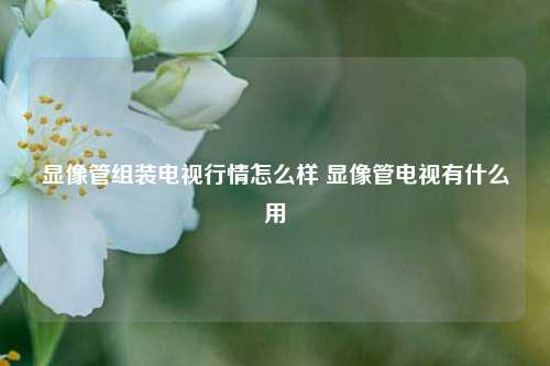 显像管组装电视行情怎么样 显像管电视有什么用