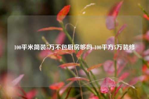 100平米简装5万不包厨房够吗 100平方5万装修