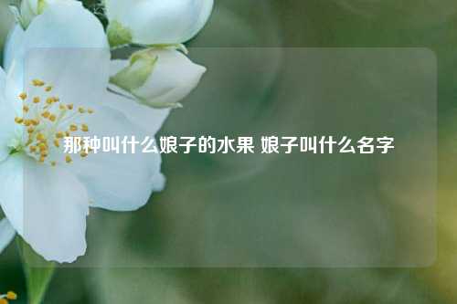 那种叫什么娘子的水果 娘子叫什么名字