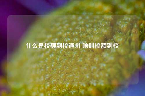 什么是校额到校通州 啥叫校额到校