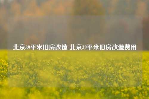 北京39平米旧房改造 北京39平米旧房改造费用