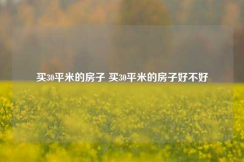 买30平米的房子 买30平米的房子好不好