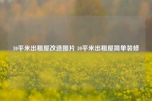 10平米出租屋改造图片 10平米出租屋简单装修