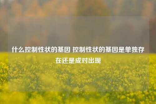 什么控制性状的基因 控制性状的基因是单独存在还是成对出现