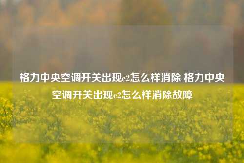 格力中央空调开关出现e2怎么样消除 格力中央空调开关出现e2怎么样消除故障