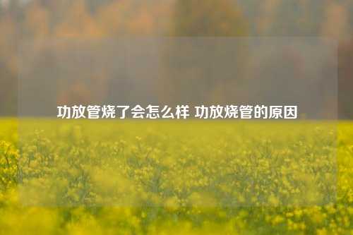 功放管烧了会怎么样 功放烧管的原因