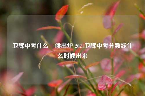 卫辉中考什么吋候出炉 2021卫辉中考分数线什么时候出来