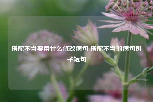 搭配不当要用什么修改病句 搭配不当的病句例子短句