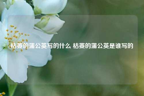 枯萎的蒲公英写的什么 枯萎的蒲公英是谁写的