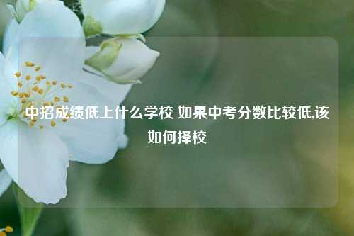 中招成绩低上什么学校 如果中考分数比较低,该如何择校