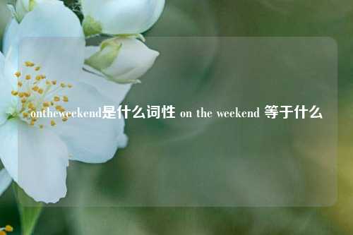 ontheweekend是什么词性 on the weekend 等于什么