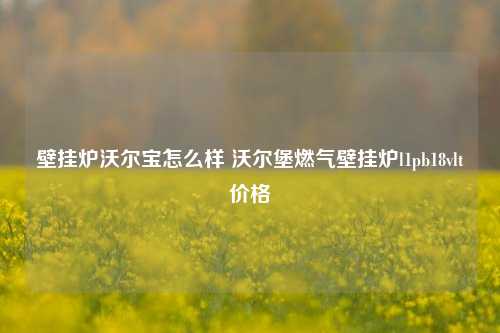 壁挂炉沃尔宝怎么样 沃尔堡燃气壁挂炉l1pb18vlt价格