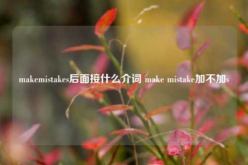 makemistakes后面接什么介词 make mistake加不加s