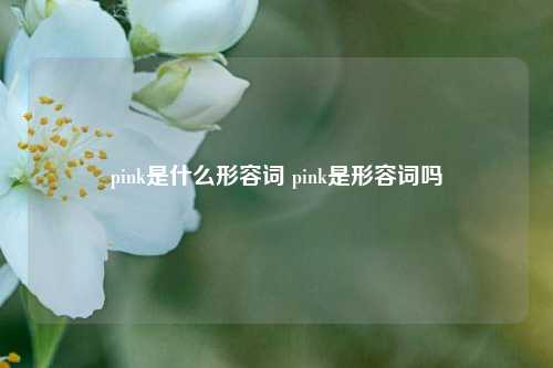 pink是什么形容词 pink是形容词吗