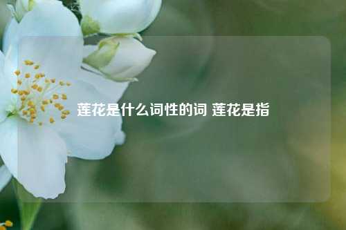 莲花是什么词性的词 莲花是指