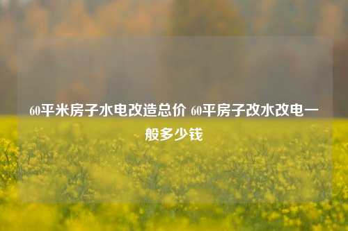 60平米房子水电改造总价 60平房子改水改电一般多少钱