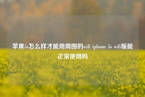 苹果5s怎么样才能用周围的wifi iphone 5s wifi版能正常使用吗