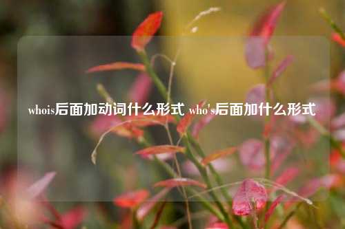 whois后面加动词什么形式 who&#039;s后面加什么形式