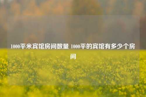 1000平米宾馆房间数量 1000平的宾馆有多少个房间