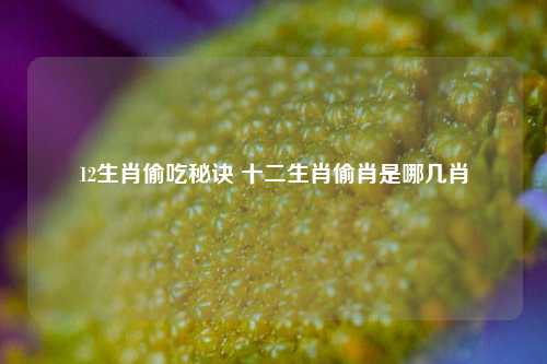 12生肖偷吃秘诀 十二生肖偷肖是哪几肖