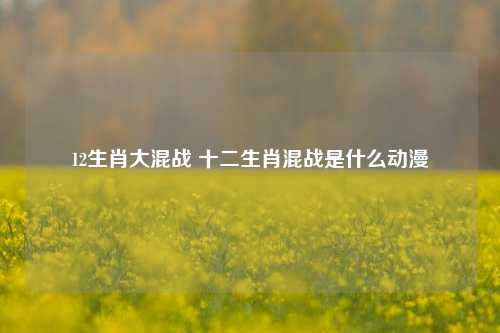 12生肖大混战 十二生肖混战是什么动漫