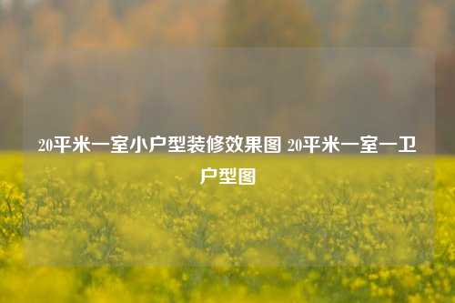 20平米一室小户型装修效果图 20平米一室一卫户型图