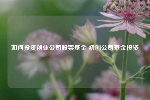 如何投资创业公司股票基金 初创公司基金投资